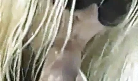 Tôi đã làm một lãng mạn với dầu. clip nóng nhật bản
