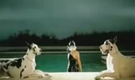 Đẹp và một người đàn ông cành một người phụ nữ trẻ trong hai thân clip sex nu sinh nhat ban